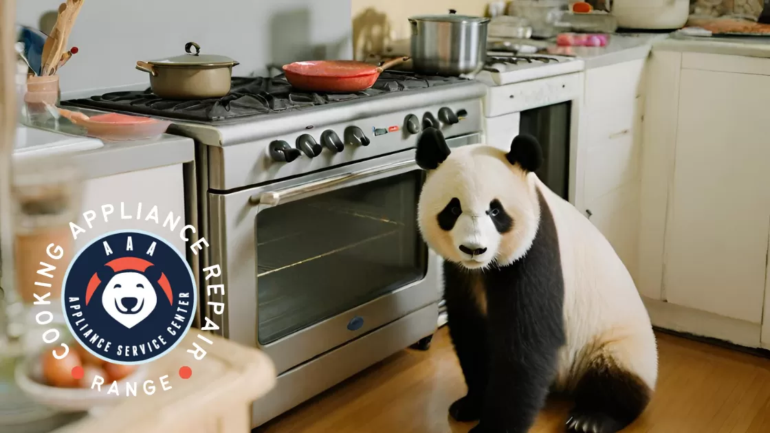 Conventional Range/Stove/Oven Repair Services with AAA Appliance